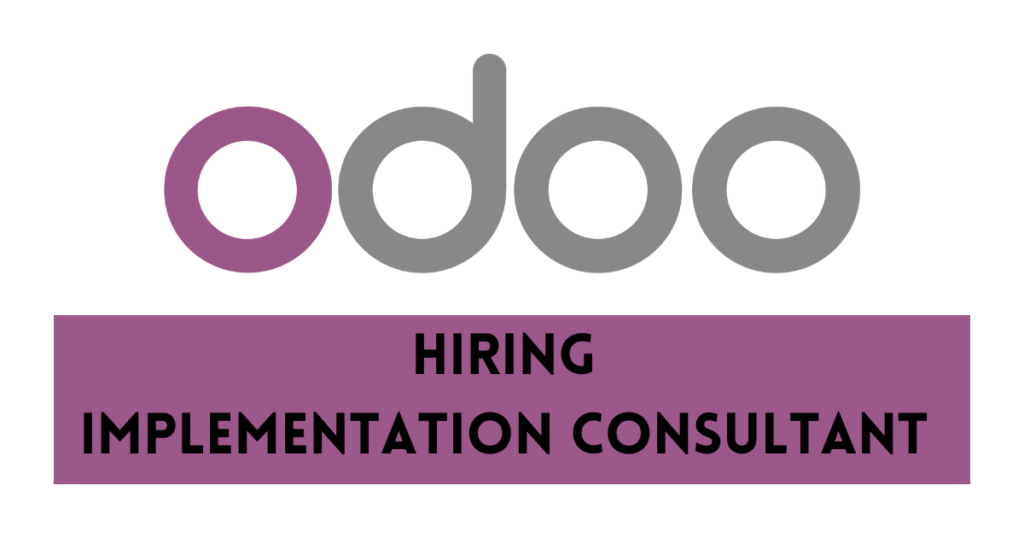  Implementation Consultant